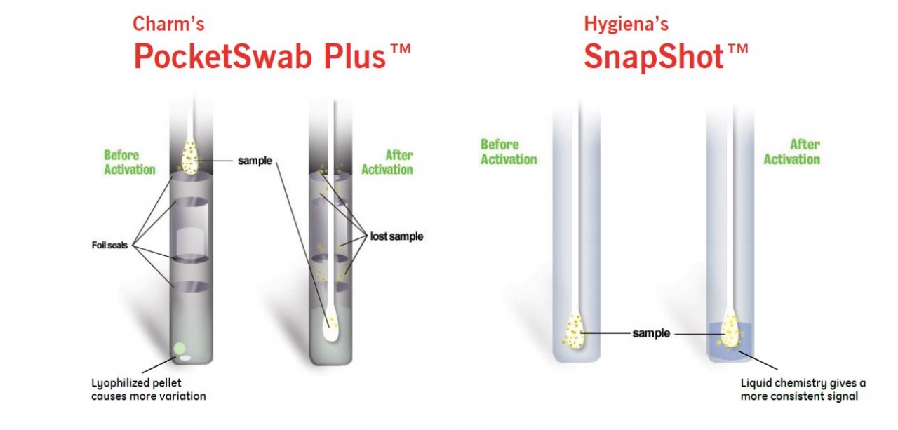 Scigiene Corporation
